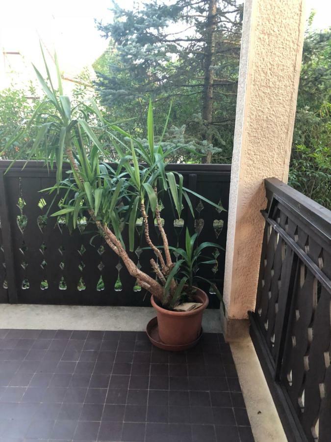Veranda Apartman นีเรกฮาซา ภายนอก รูปภาพ